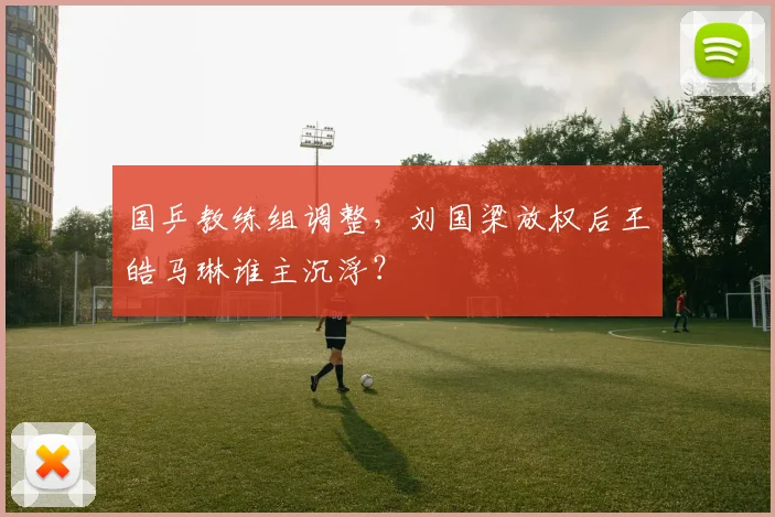 国乒教练组调整,刘国梁放权后王皓马琳谁主沉浮?