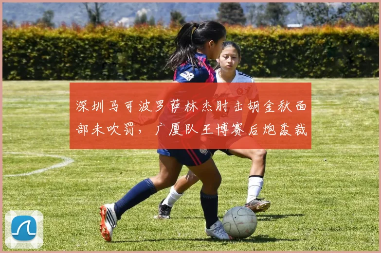 深圳马可波罗萨林杰肘击胡金秋面部未吹罚,广厦队王博赛后炮轰裁判